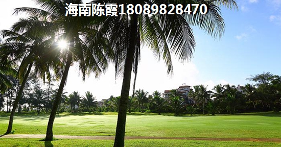 辰能溪树庭院 景观园林 